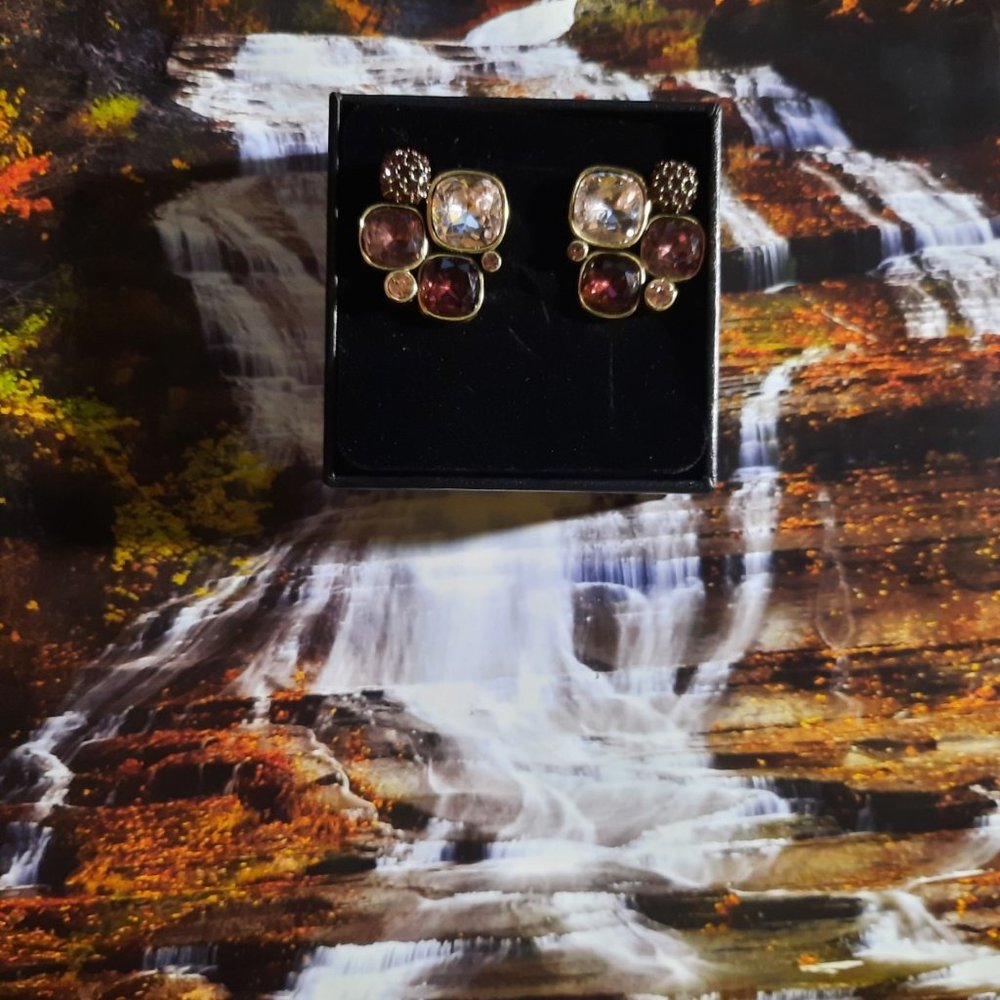 Heidi Daus earring